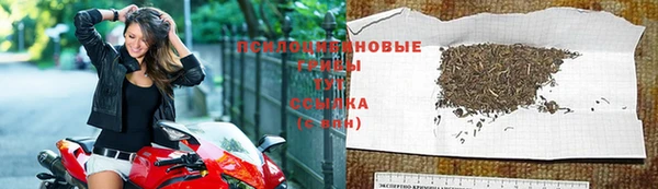 спайс Алексин